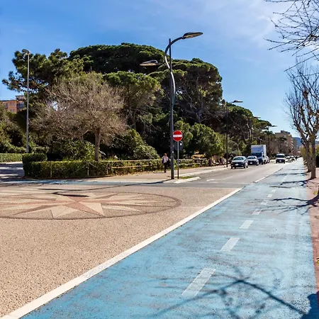 Terra * Follonica
