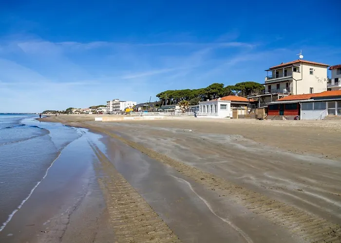 Terra Daire Follonica